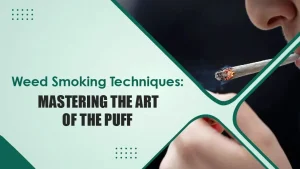 Weed Smoking Techniques Mastering the Art of the Puff